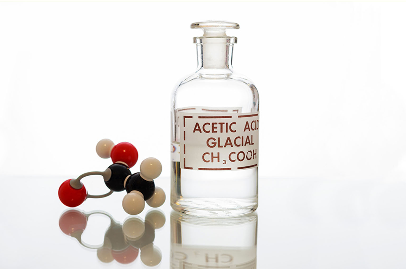 Free template by TemplateUX