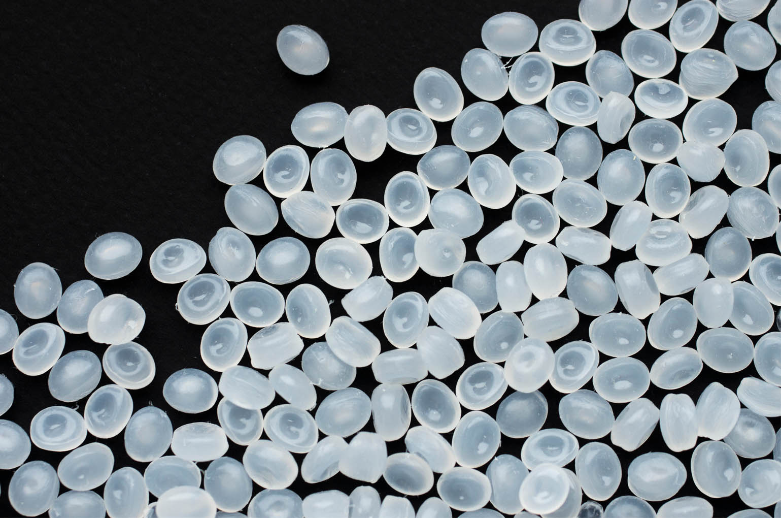 Free template by TemplateUX